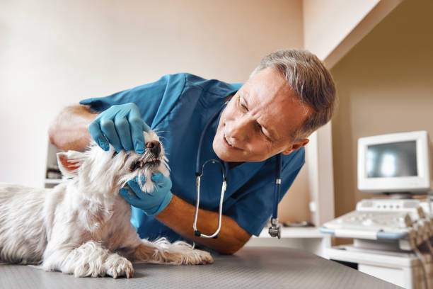  Dover Beaches South, NJ Emergency Dentist Pros